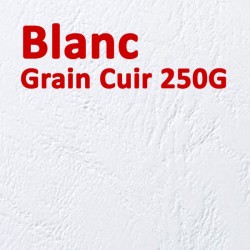 Couverture Carton Grain Cuir CG FALCONK 13- Couverture Carton Grain Cuir A4 & A3