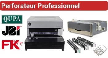 Perforateur professionnel